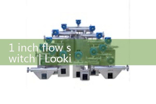 1 inch flow switch